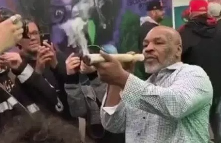 Mike Tyson marihuana